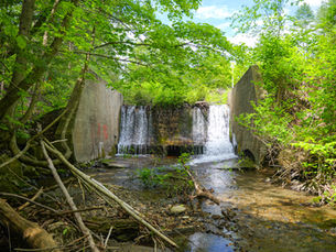Valley Street dam in Springfield, VT, in visible disrepair and surrounded by trees.