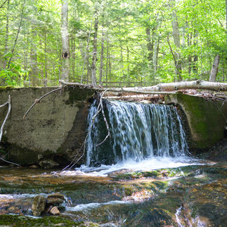 Jack's Brook after the dam was removed.