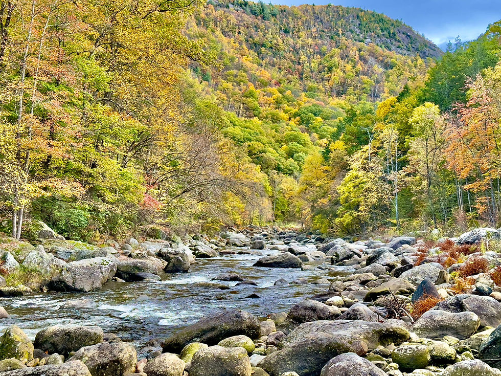 Public Meetings Coming Up for Protecting the Deerfield River