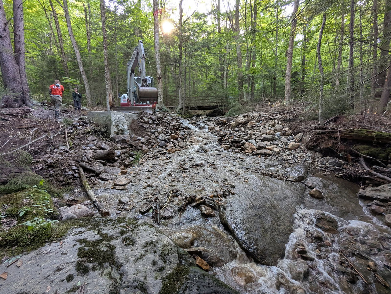 Jack's Brook after the dam was removed.