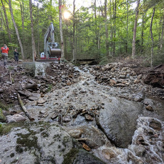 Jack's Brook after the dam was removed.