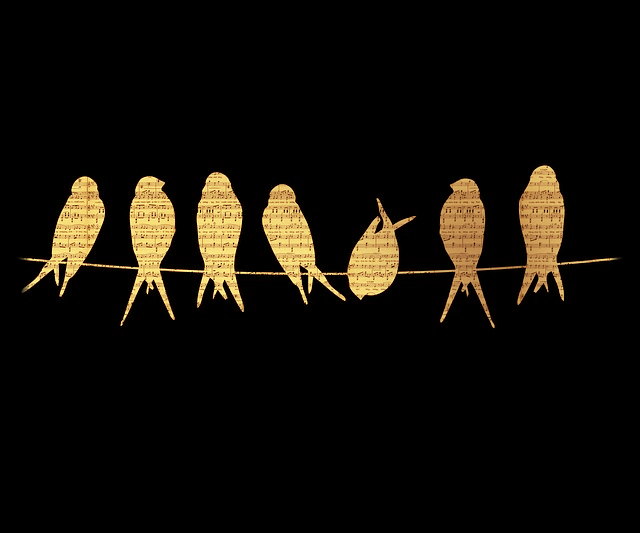 Conocé más sobre tu voz !