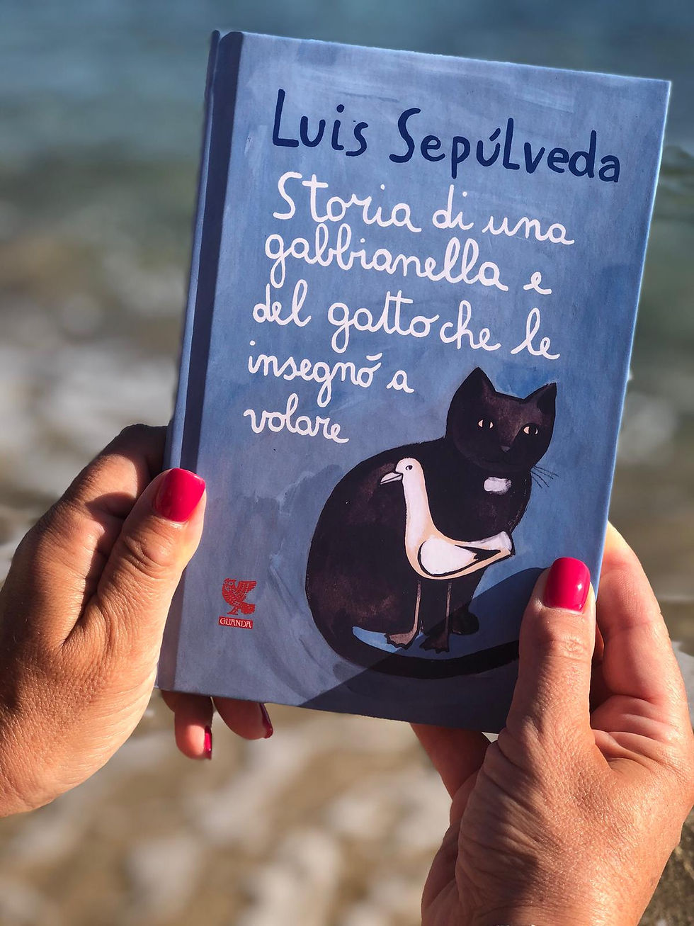 Storia di una gabbianella e del gatto che le insegnò a volare