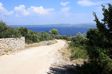 IMG_7938_edited.jpg