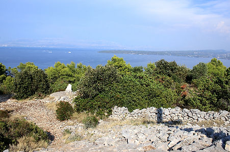IMG_7915_edited.jpg