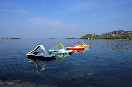 IMG_8137_edited.jpg