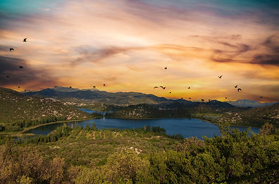 Dalmatia