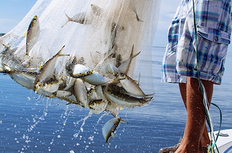 fishing