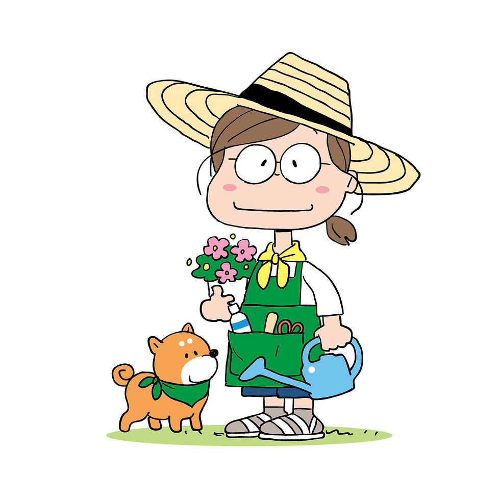 midori-san扉E