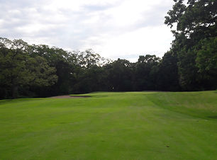 20190617_175035.jpg