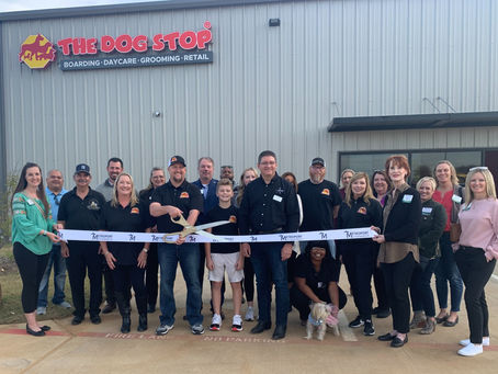 Ribbon Cutting: The Dog Stop