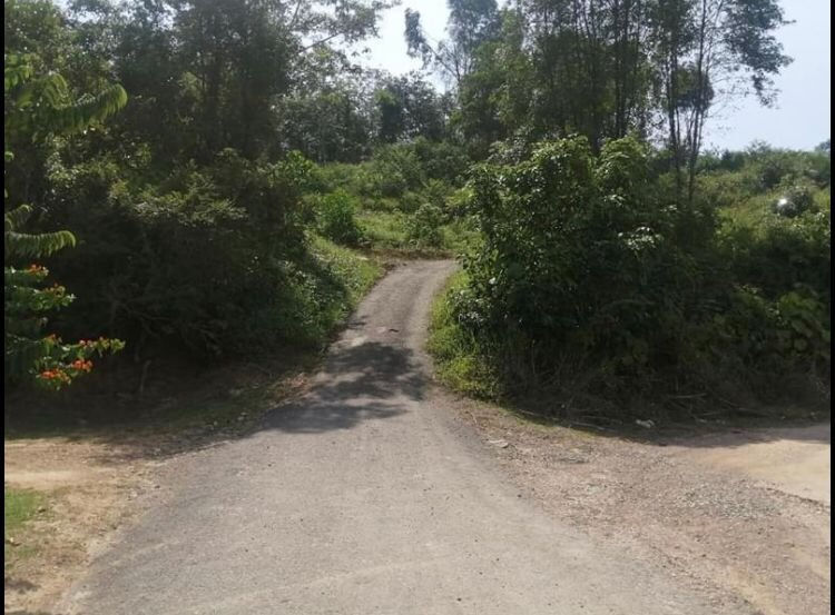 Thumbnail: Tanah 20 Ekar Exclusive-MURAH DIPASARAN-Chengkau Rembau Negeri Sembilan