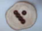 Donuts chien