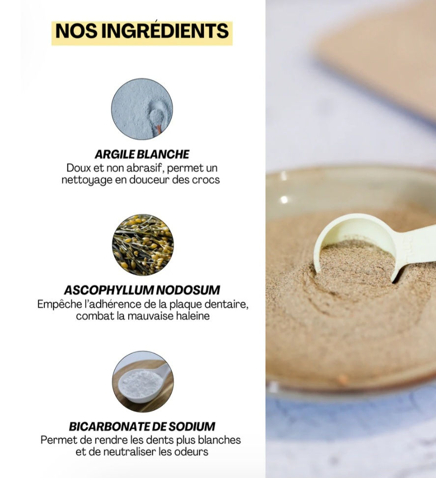 Miniatura: Quenotte by Dexter & Mango