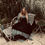 Miniaturbild: Ewa i Walla Dress 55882 AW24 Libby Organdie