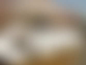 The Climate Paradox: Politics of the Possible vs. Science of the Necessary