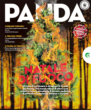 Screen Shot 2020-09-18 at 15.34.32.png