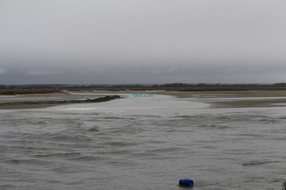 mascaret Port de St-Valéry sur Somme
