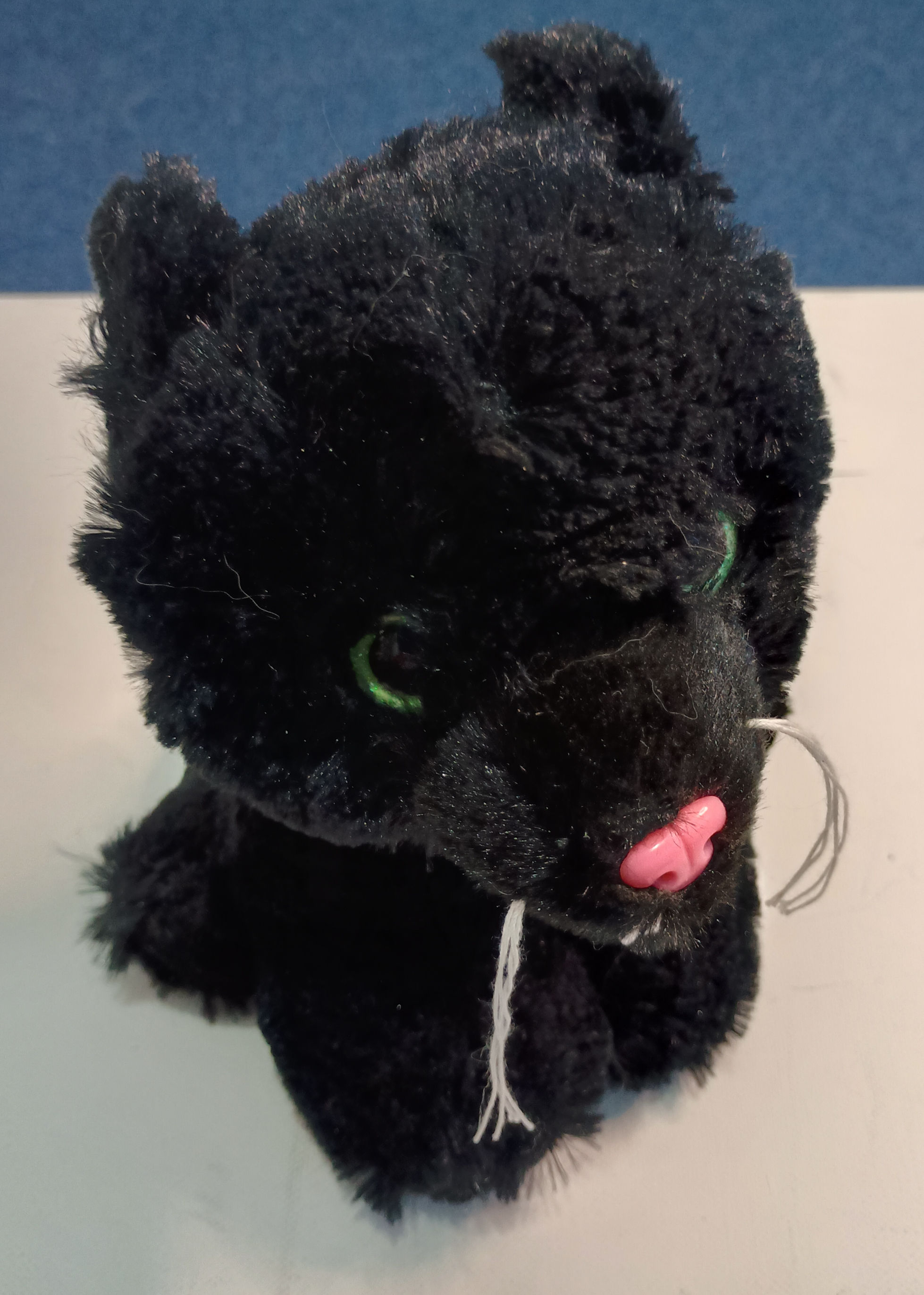 Cazaar Furry Planet Scruffy Fluffy Cat