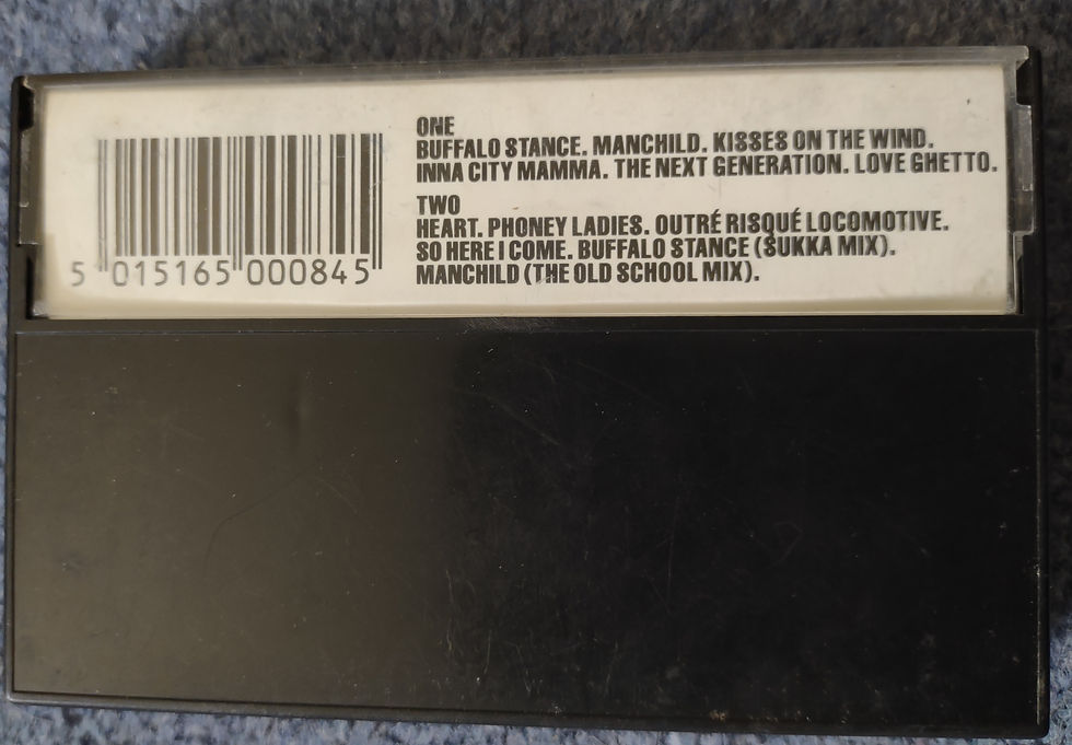 Thumbnail: 1989 Neneh Cherry – Raw Like Sushi