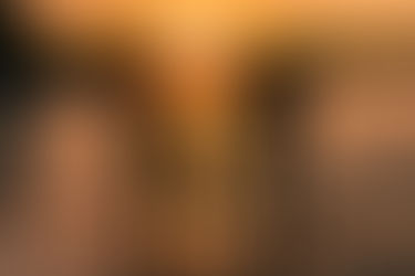 Onde fotografar em bombinhas