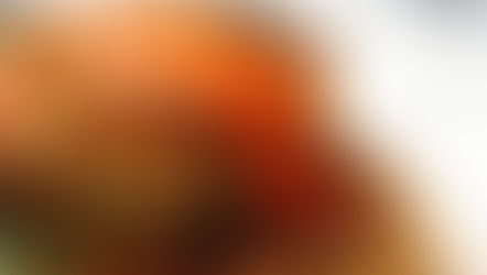 Crispy Salmon Cakes with Red Pepper and Tomato Sauce