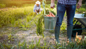 Toxic Hormones? 5 Natural Strategies to To Reduce the Impact of Toxins on Hormones