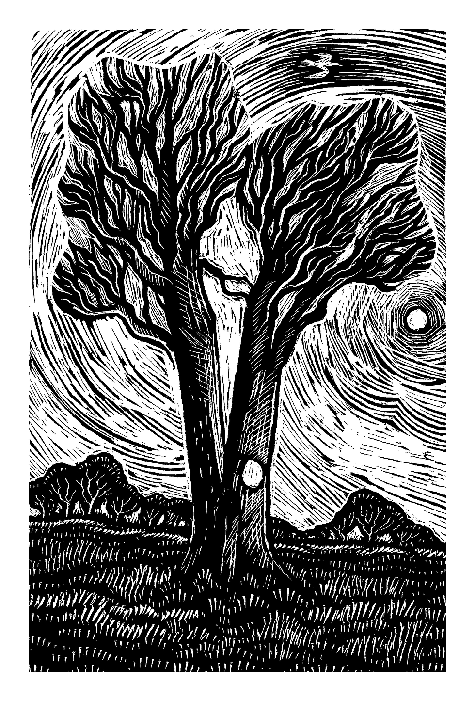 exhibition piece - Split Tree