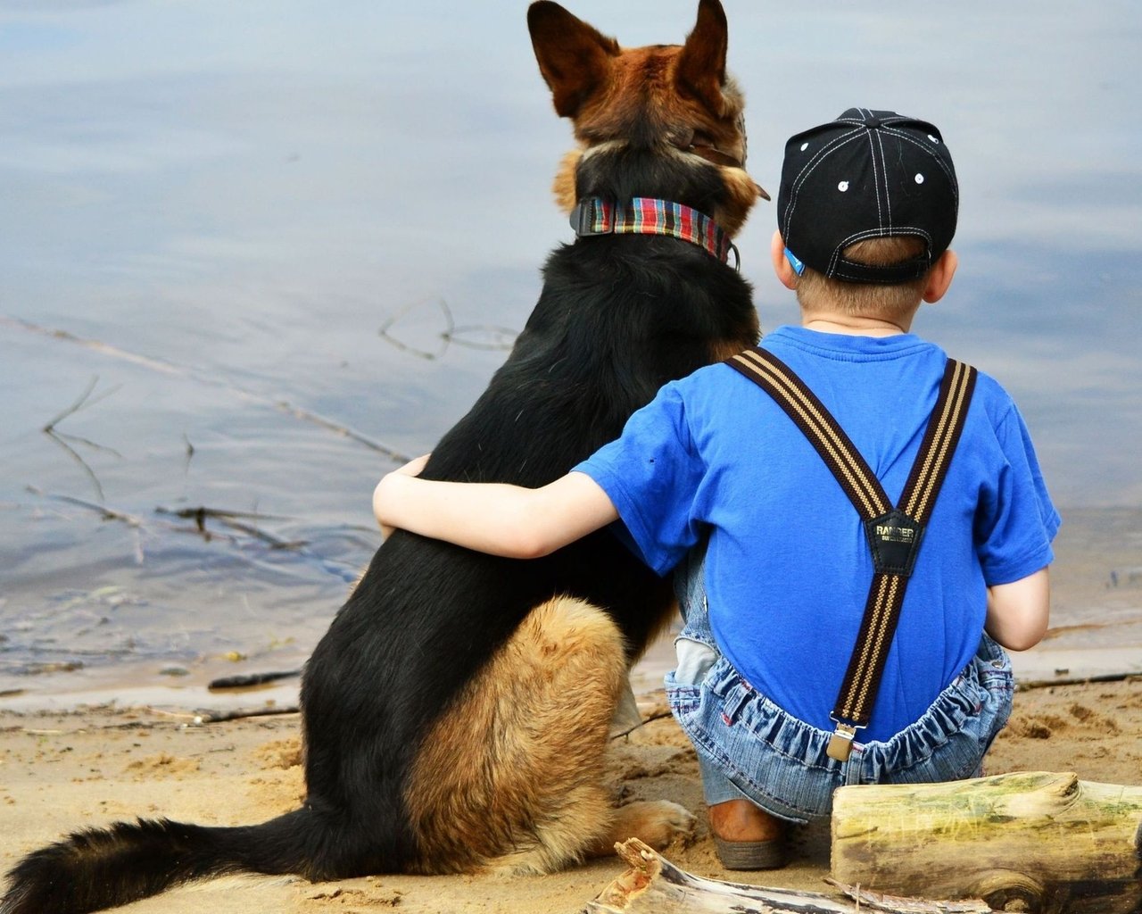 La Communication Avec Votre Chien Un Art En Soi - 