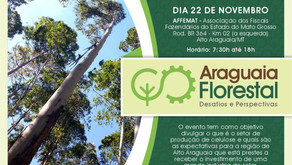 Araguaia Florestal, Desafios e Perspectivas