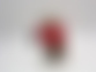 Tails from the Rodent Shakespeare Company: Barnum