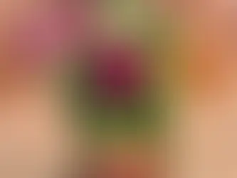 Tails from The Rodent Shakespeare Company: Little Shop of Horrors