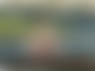 Fifty Shades of Brown Part V: The Final Brown-Down