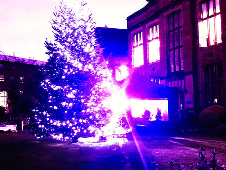 Yule Blog: The Game of Life