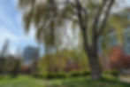 Little Norway park