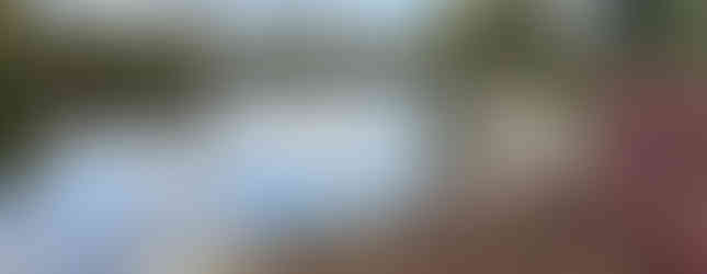 Shoreline improvements at Long Pond