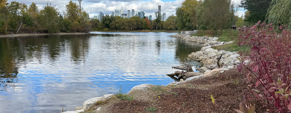 Shoreline improvements at Long Pond
