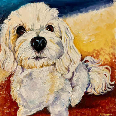 Tiere unterm Weihnachtsbaum