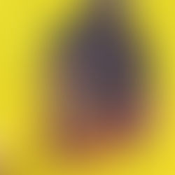 Neues von den Neon-Babes 