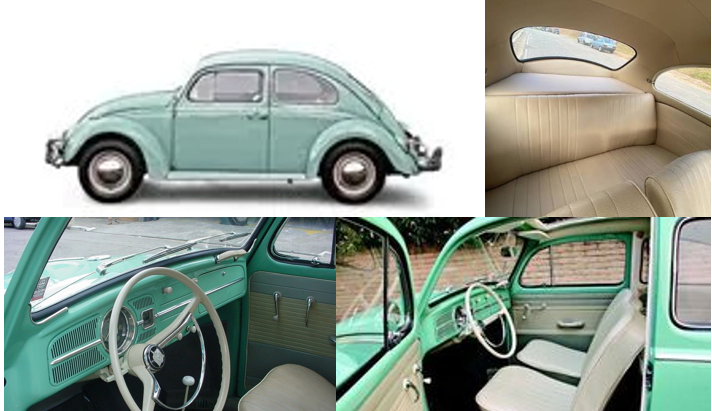 My Beetles Talking