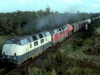 Da DSB lejede V220 fra DB