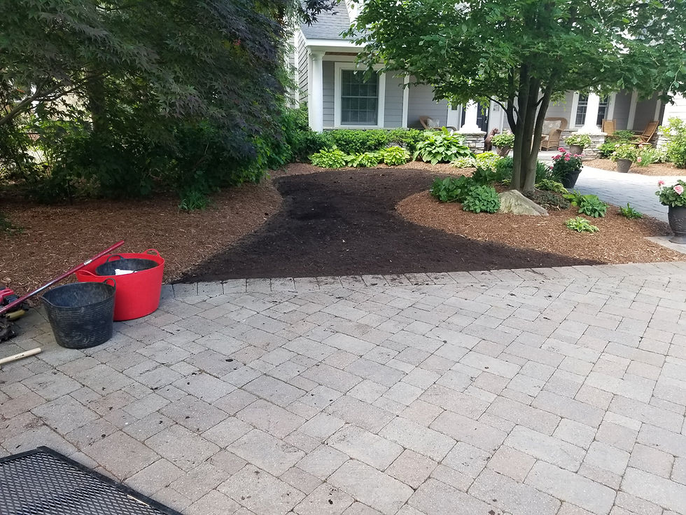 Planting
