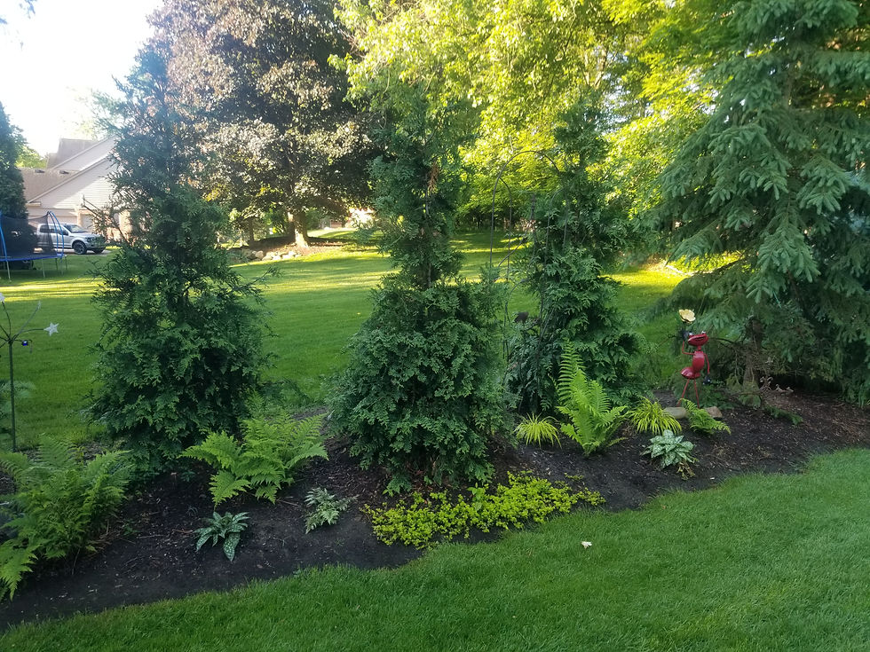 Planting