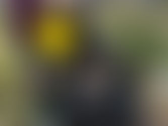 4月の農園体験!!