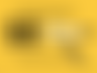 HireDigitalMarketingTeam: The Best SEO Company in Jaipur