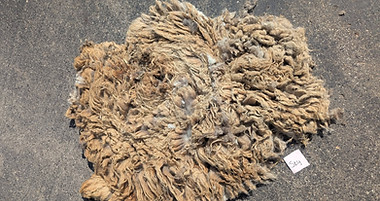 495365673_2181753428912996_2930699551915