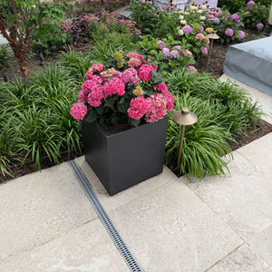 Seasonal Planting