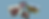 CBC Cover3 (1).png