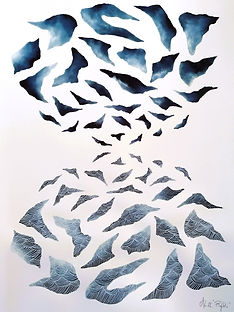 CHARBONNIER, Reflets.jpg