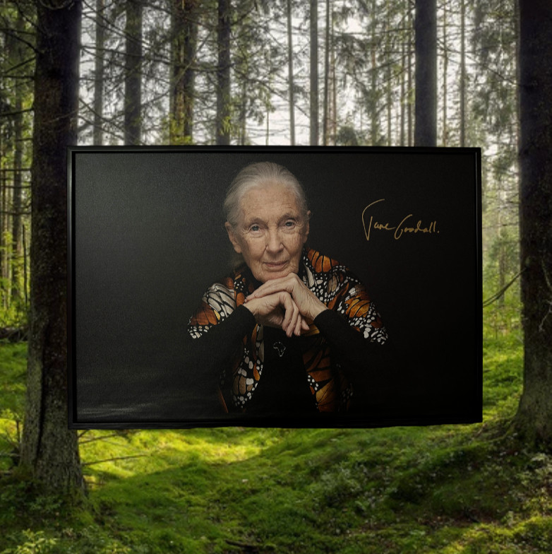 縮圖：Photo Frame With Dr. Jane's Autograph 珍古德博士親筆簽名相片